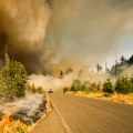 What States Have the Most Wildfires? Finding the Best HVAC Installation Companies for Your Home