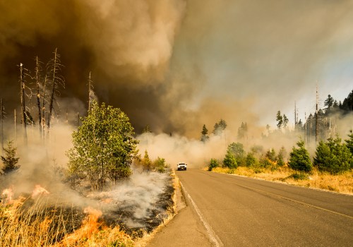What States Have the Most Wildfires? Finding the Best HVAC Installation Companies for Your Home